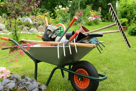 Gardening tools in a wheelbarrow 